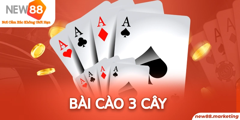 5699 78 vảy gà tốt nên chọi