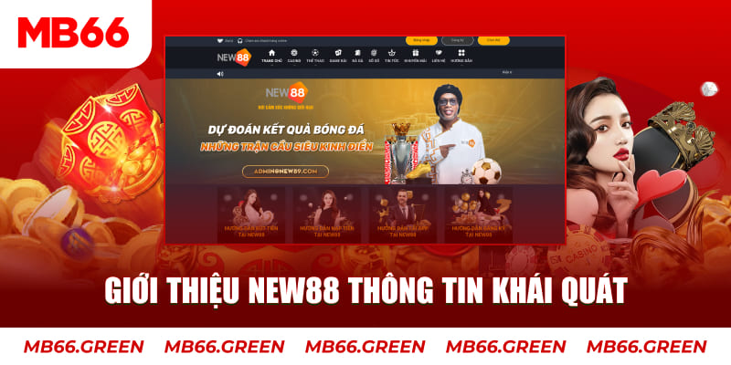 5699 c1 gà chọi