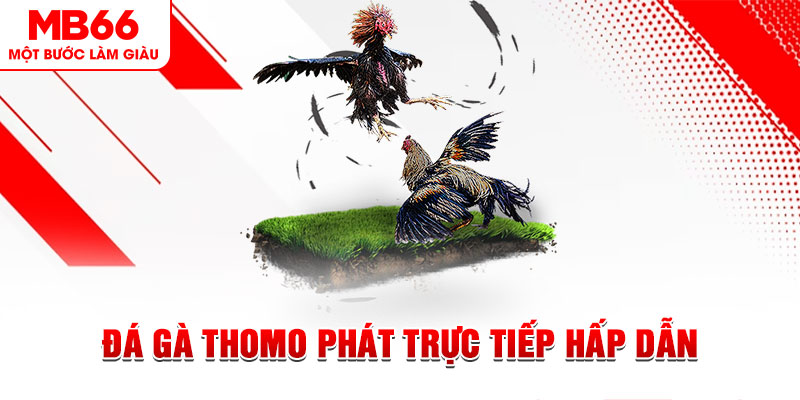 5699 xổ số miền bắc 30 ngày