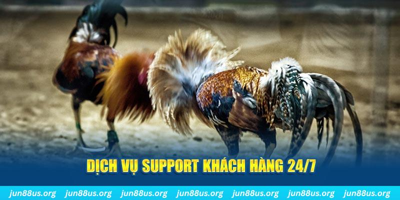 5699 xổ số đại phát