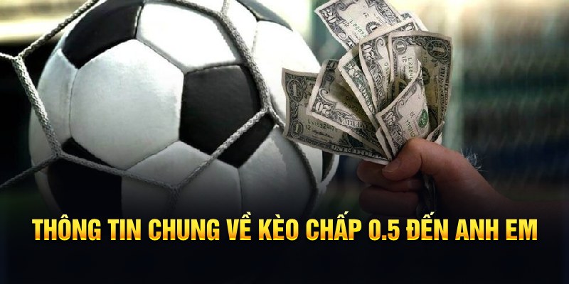 5699 nổ hũ b29 là gì