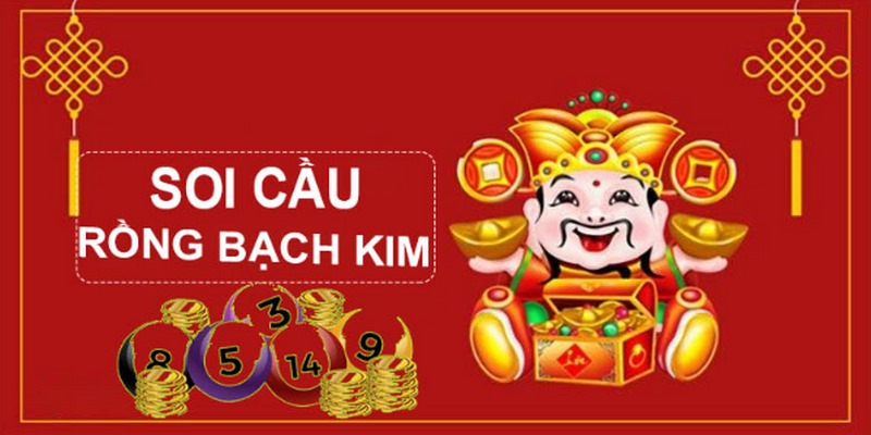 5699 gà chọi