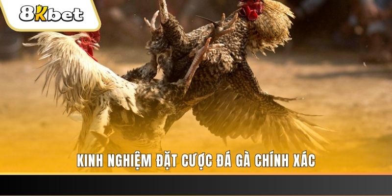 5699 xổ số thứ bảy hàng tuần