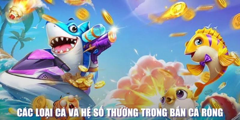 5699 đăng nhập lô đề tặng tiền