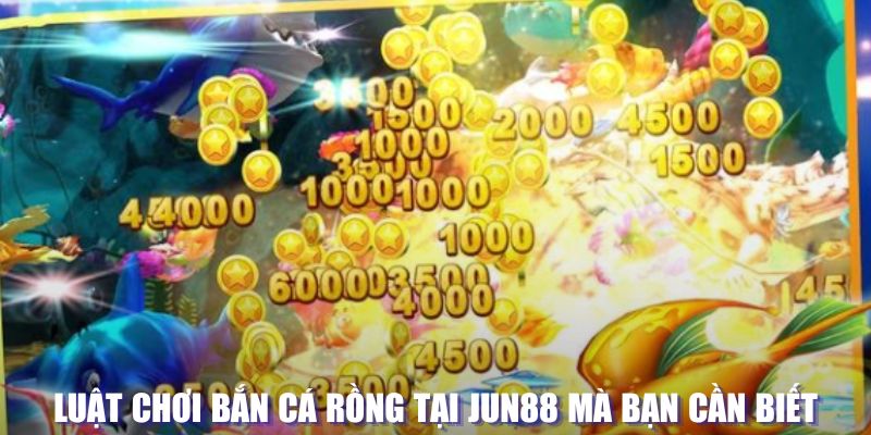 5699 xổ số đài hà nội