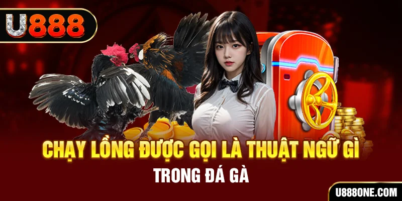 5699 tai game vua bai ve may tinh