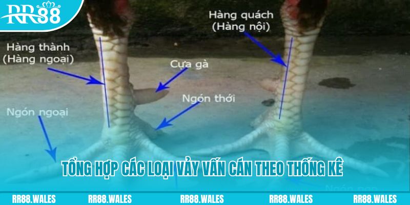 5699 xổ số miền nam thứ sáu