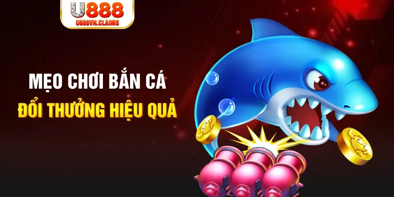 5699 gà chọi cam ranh