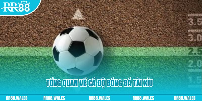5699 đăng nhập roulette online