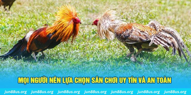 5699 Cỡ bảy