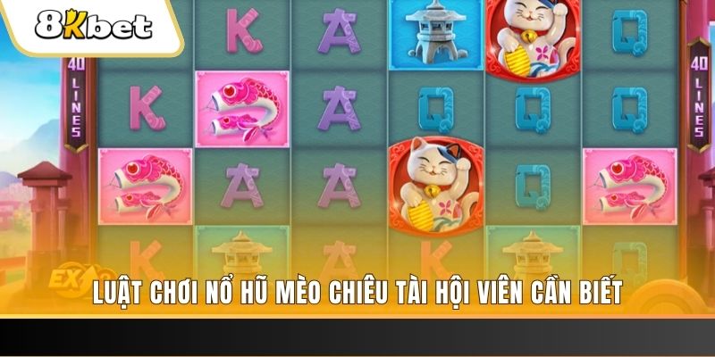 5699 gà chọi cu cần
