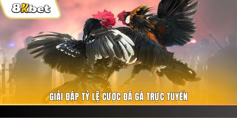 5699 ban ca online