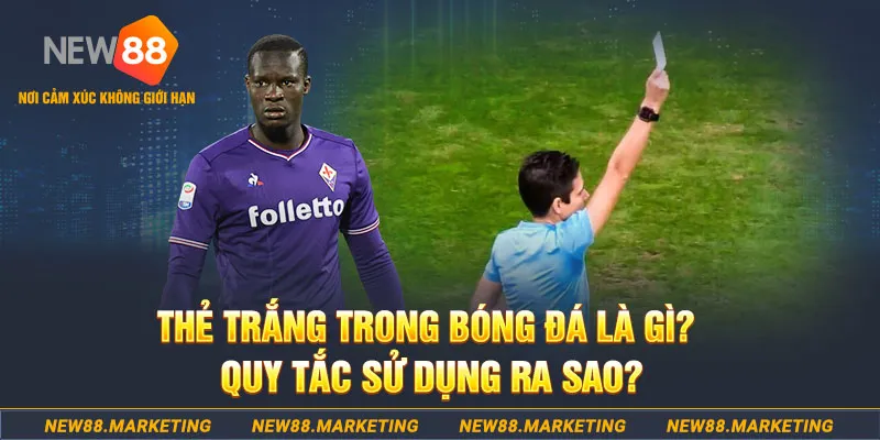 5699 đăng nhập sòng bạc hôm nay