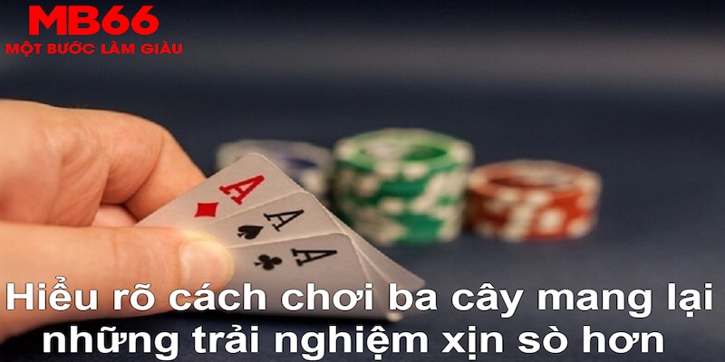 5699 ÁT CHỦ MÁY HOA QUẢ THẦN TÀI