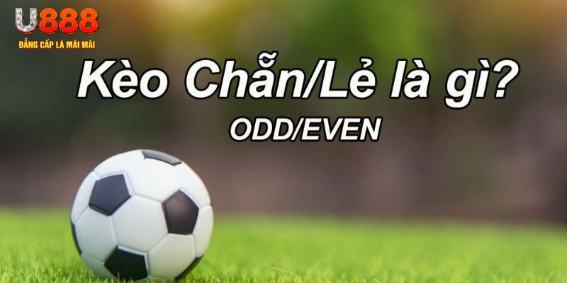 5699 đăng nhập sòng bạc 2024