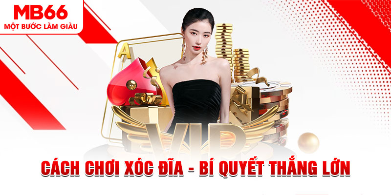5699 xổ số miền bắc thứ bảy hàng tuần