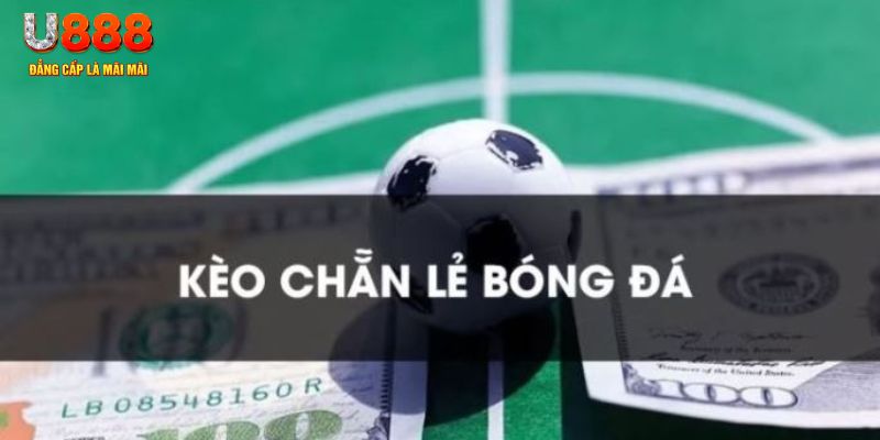 5699 gà chọi c1.tv