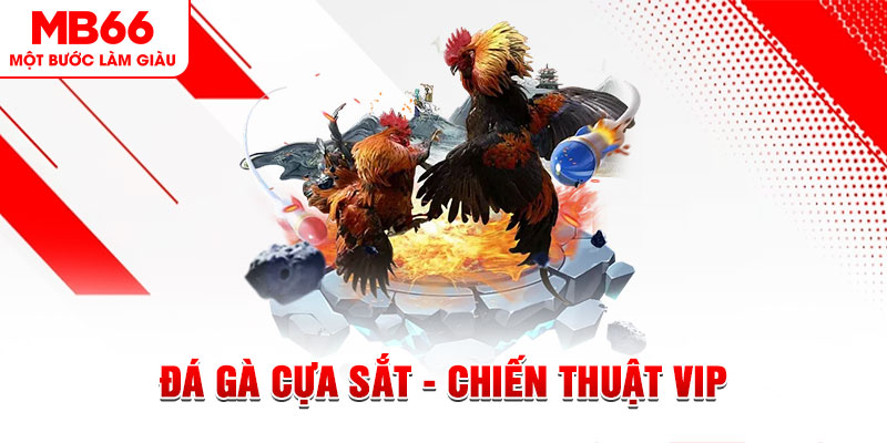 5699 ai tool nổ hũ