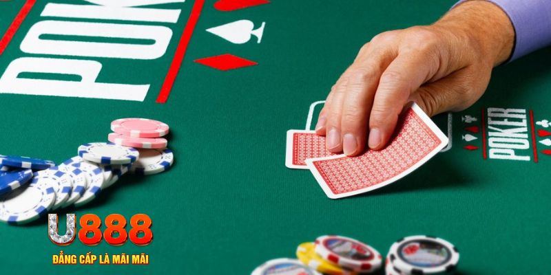 5699 đá gà 88