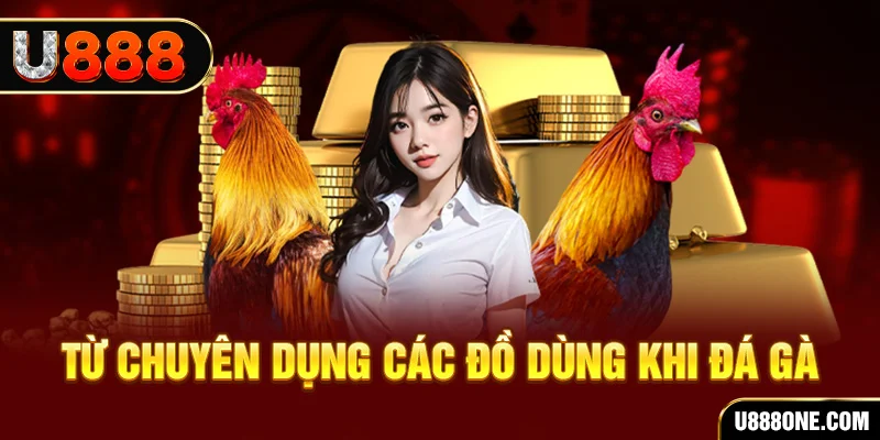 5699 đá gà trực tiếp campuchia