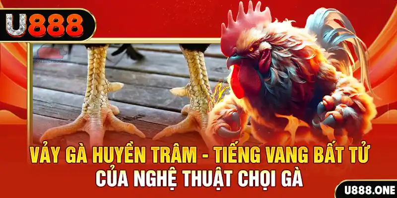 5699 xổ số trực tiếp miền bắc